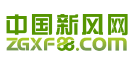 中國新風網